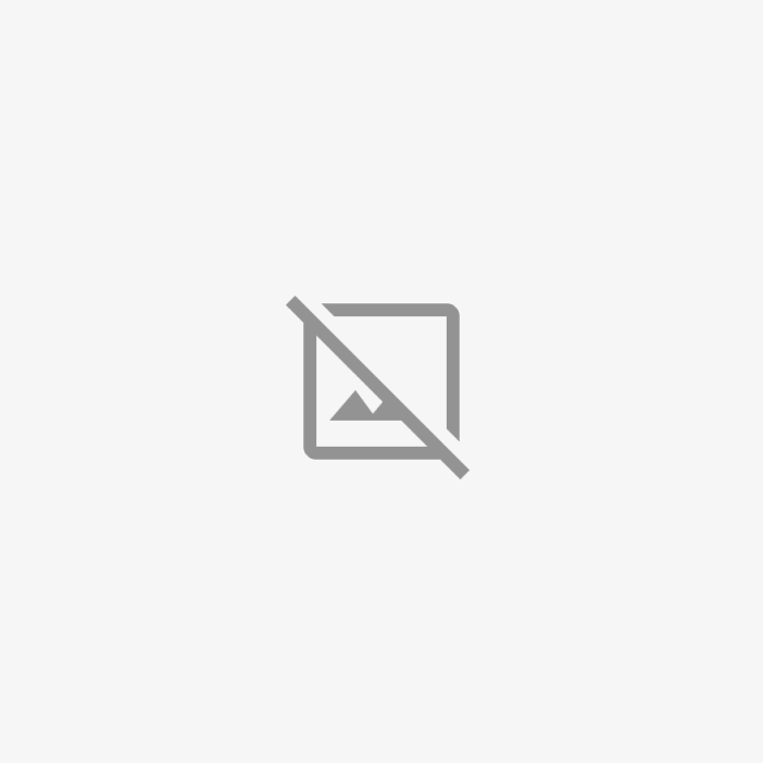PHILIPS 12258 WHV H1 55W 12V 2-P